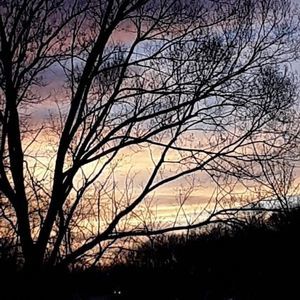 Meet your Posher, Charisma